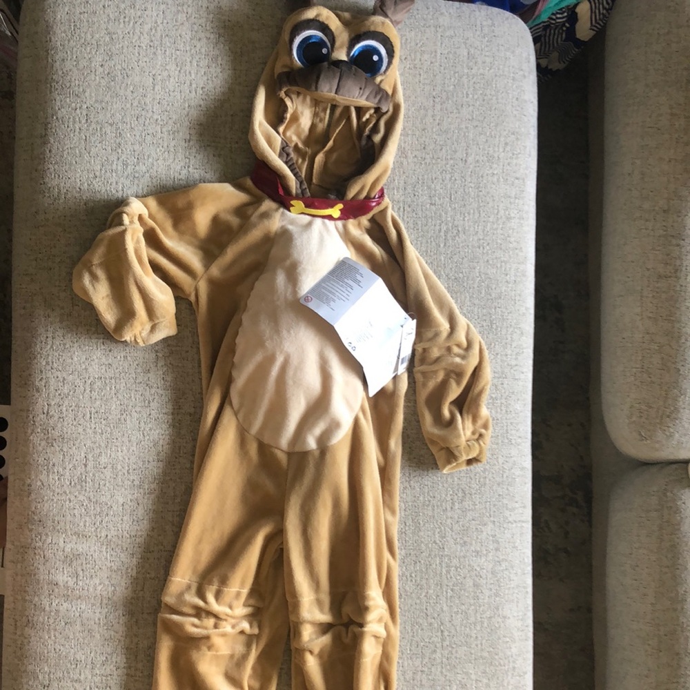 Disney costume Rolly 3+ yr size